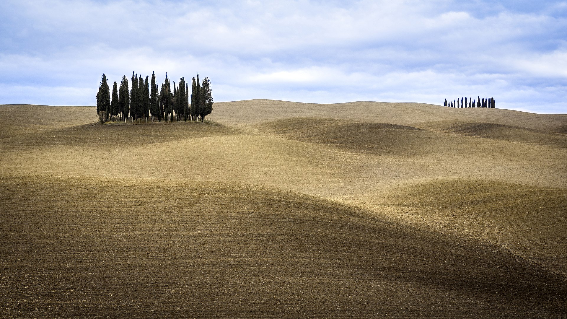 Val d'Orcia cypress road and farmhouse